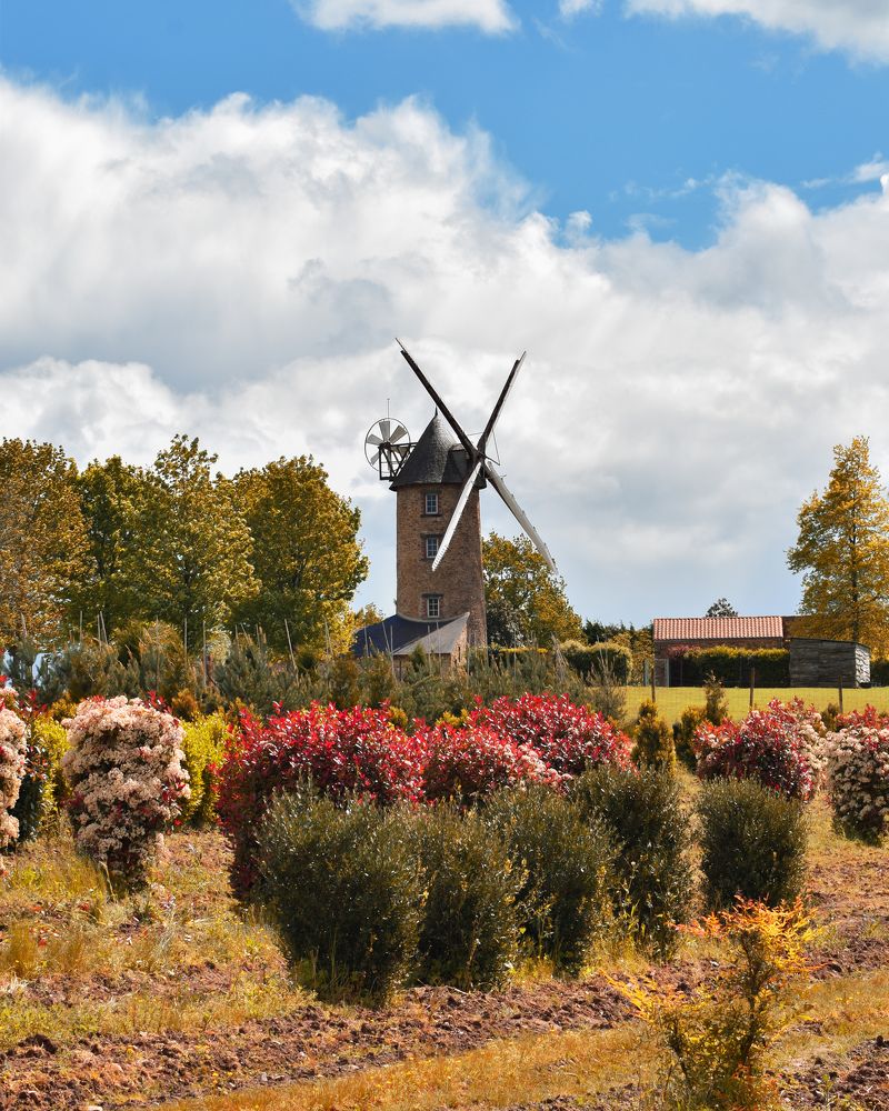 Photograph by Аlina BRAZIUL