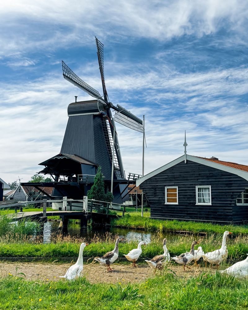 Photograph by Аlina BRAZIUL