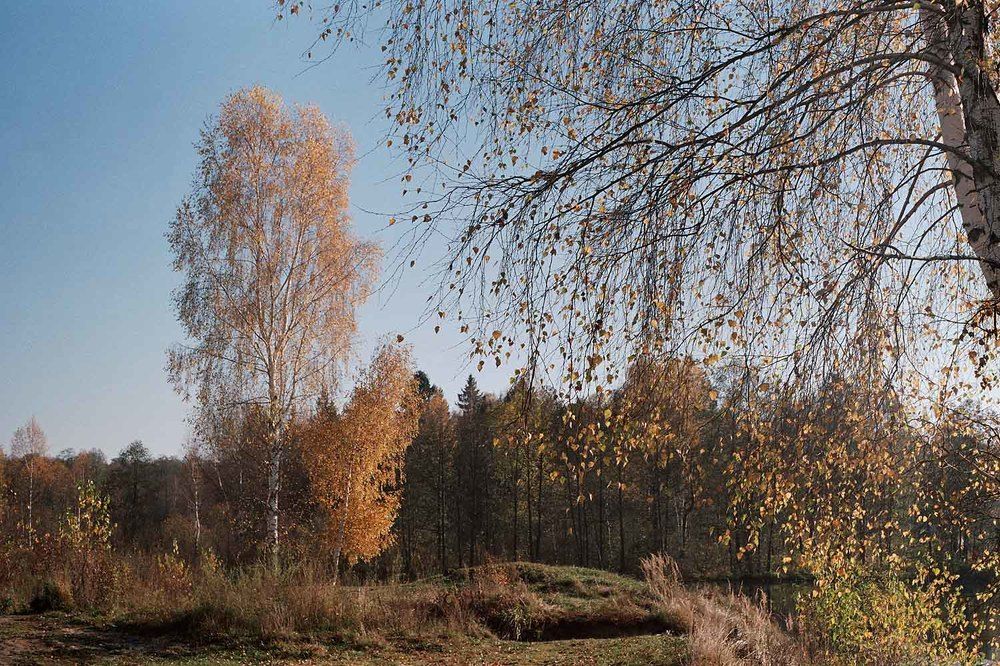 Photograph by Игорь Пшеничников