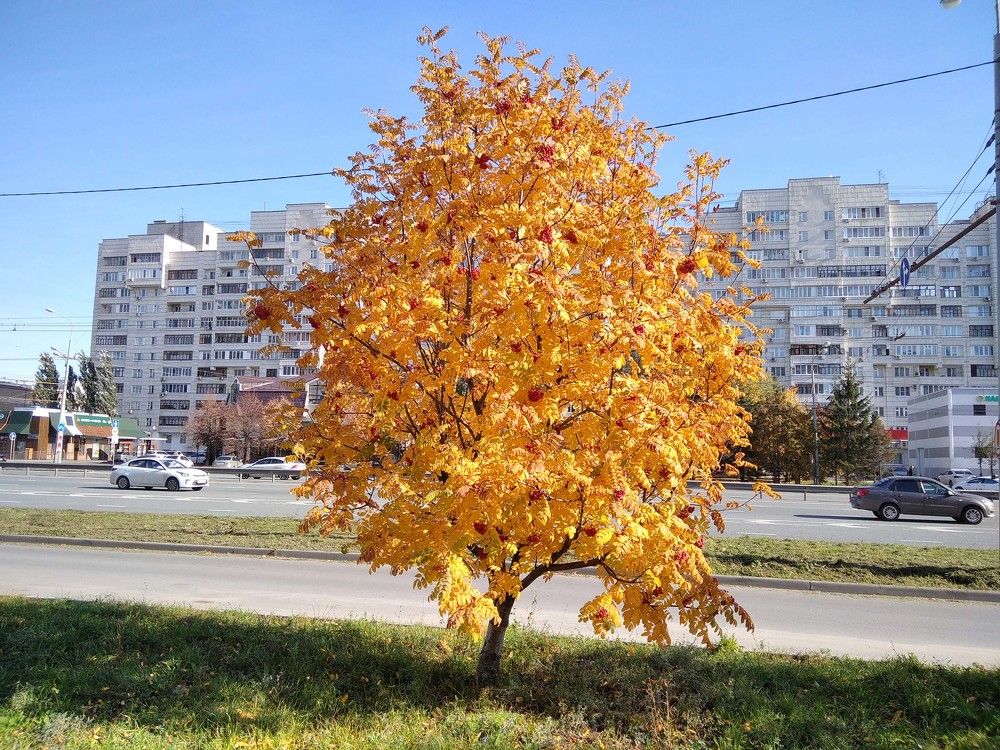 Photograph by Игорь Пшеничников