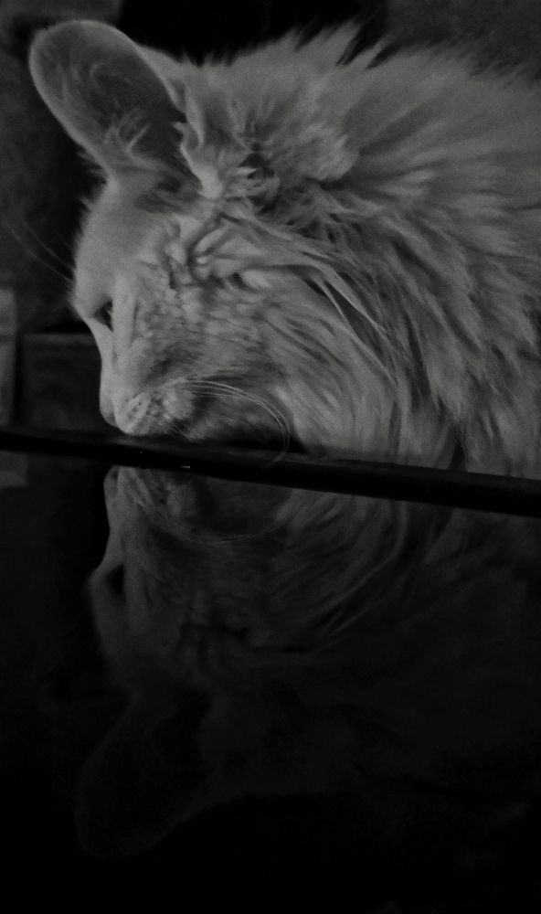 Photograph by NATALLIA KUPRINA