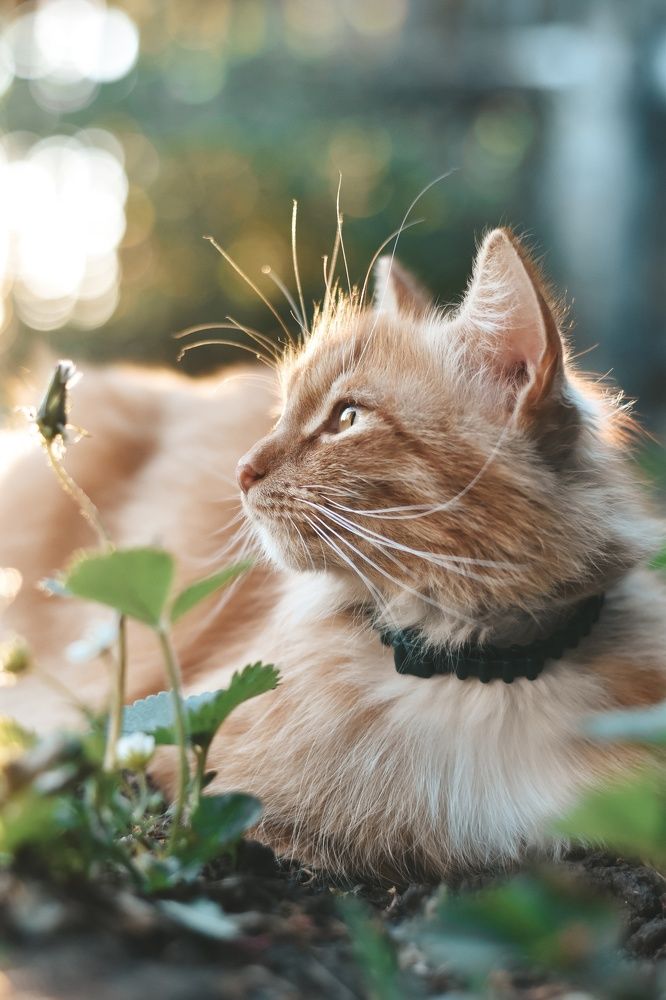 Photograph by Екатерина Верясова