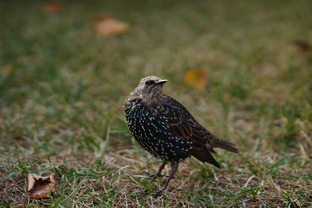 Photograph by Гусева Марина