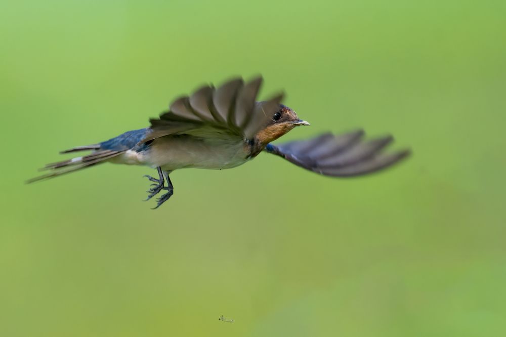 Photograph by Shahed Ahmed