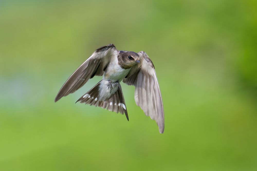 Photograph by Shahed Ahmed