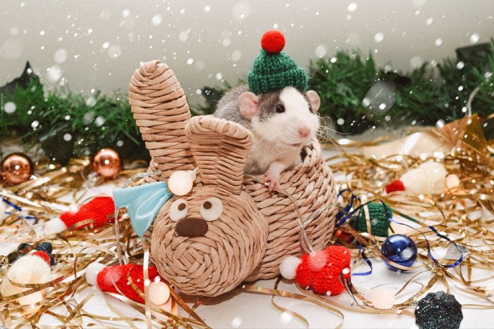 Photograph by Екатерина Верясова