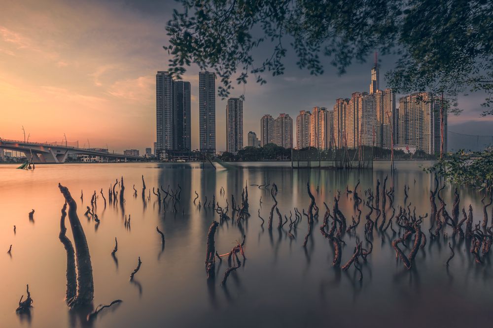 Фотография автора Andy Nguyen