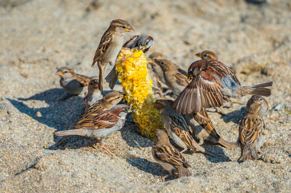 Photograph by Андрей Валерьевич