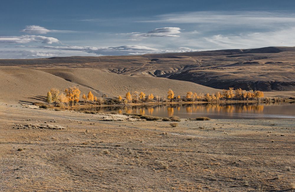 Photograph by Елена Павлова