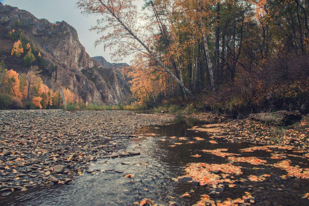 Прохладный день осенний.
