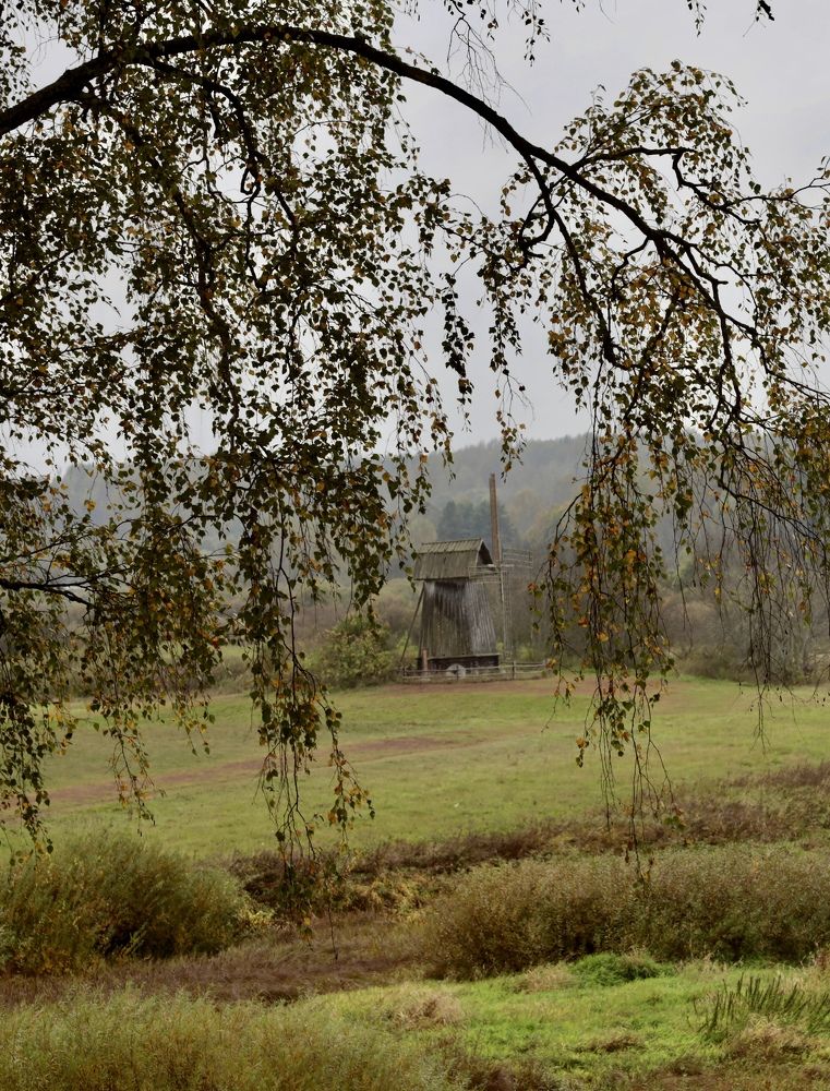 Photograph by Людмила Белякова