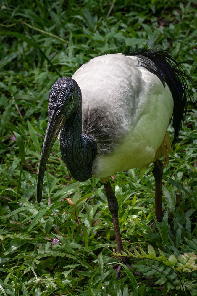 Photograph by Наталья Кокорина