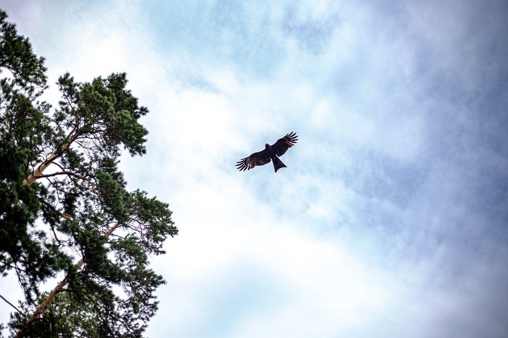 Photograph by Оксана