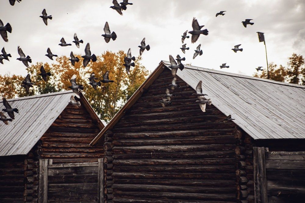 Photograph by Оксана Ланских
