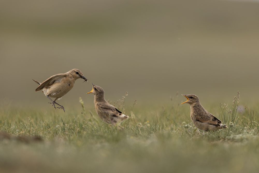 Photograph by Александр Ильин