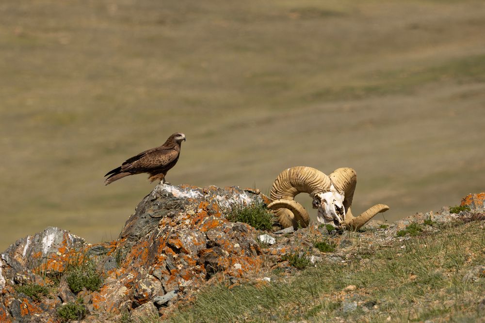 Photograph by Александр Ильин