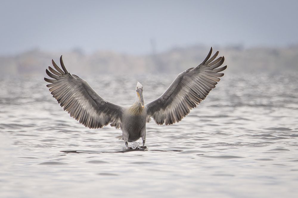Photograph by Александр Ильин