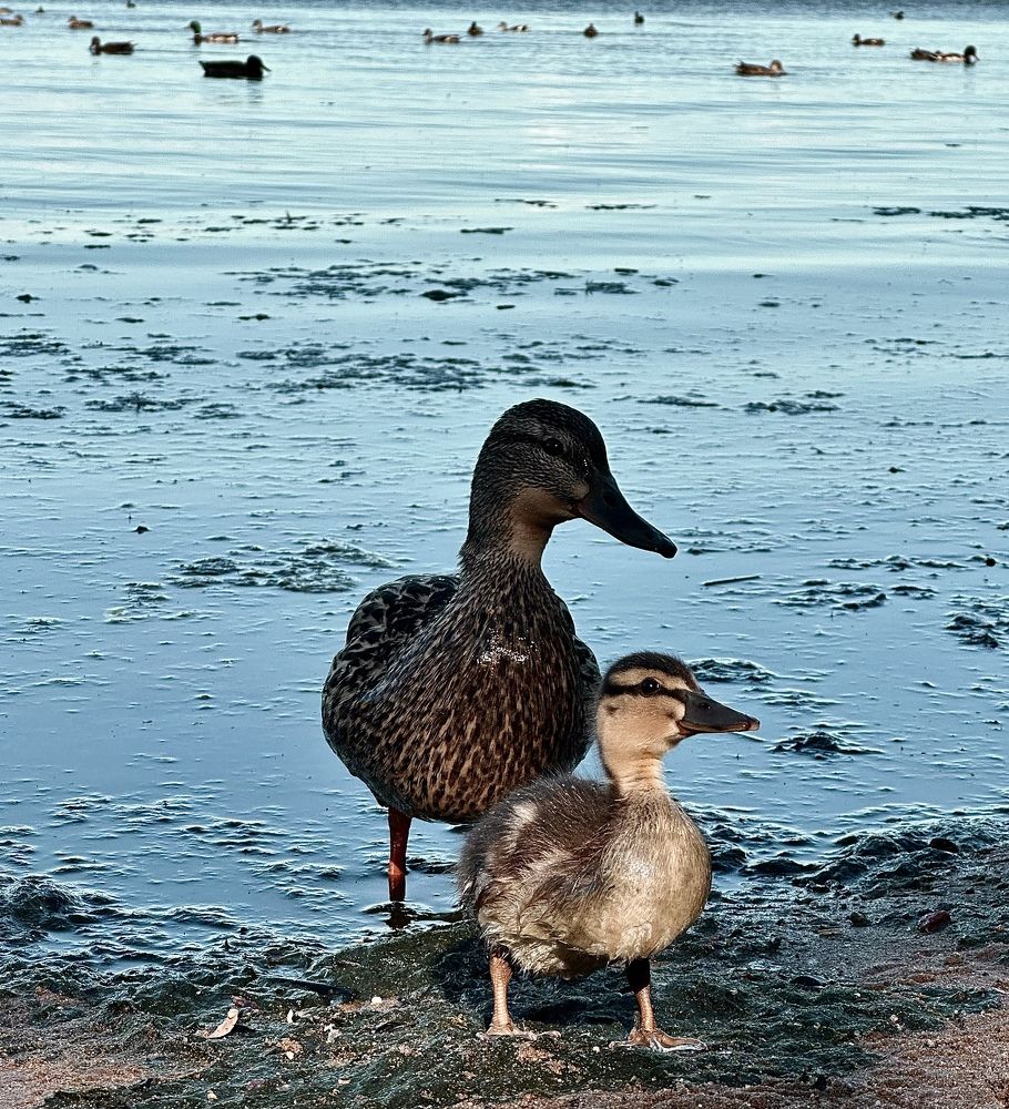 Photograph by Гуляева Светлана