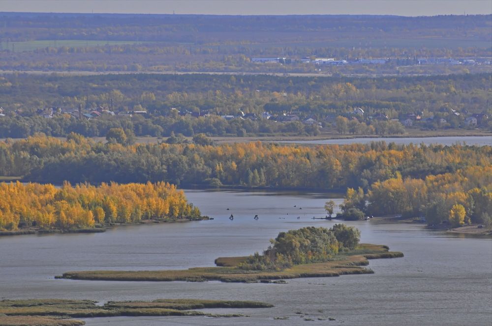 Фотография автора Инна Миронова