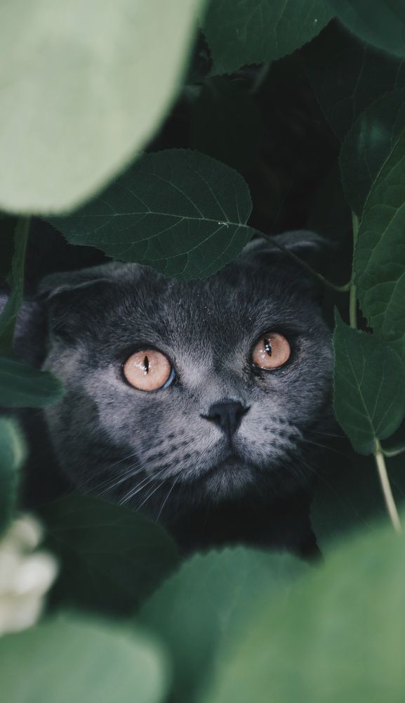 Photograph by Яна Истоцкая