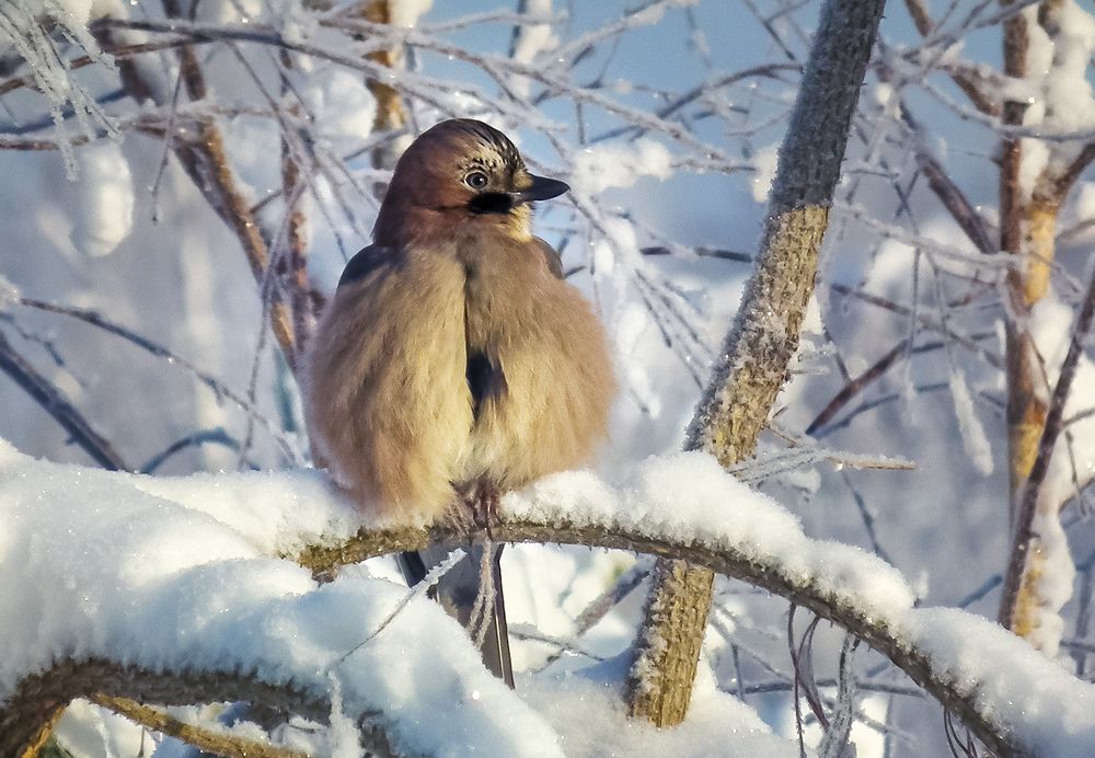 Photograph by Алексей Окунеев