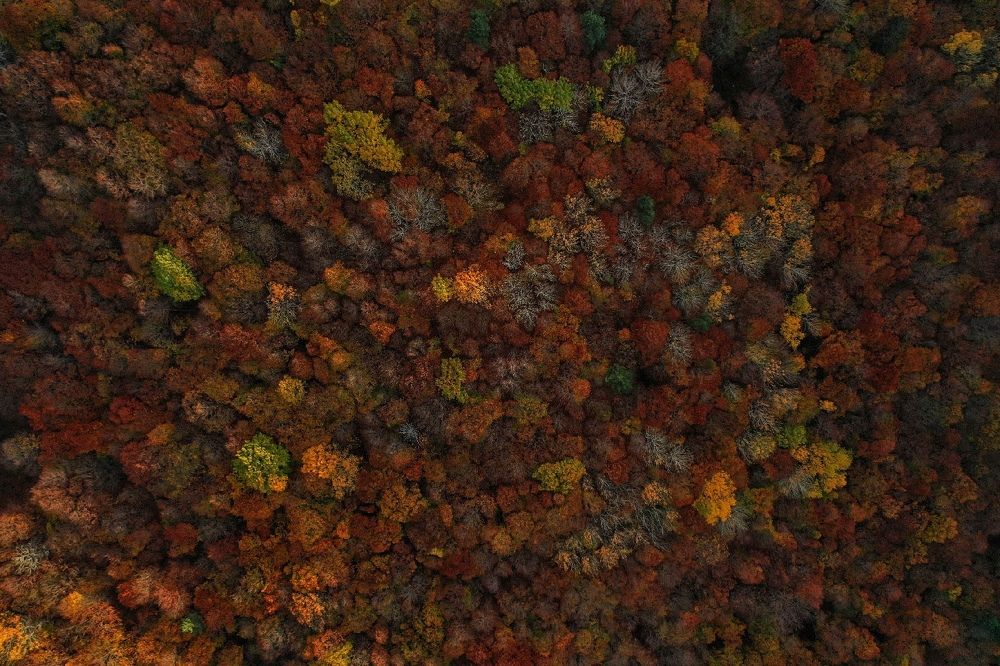 Photograph by Дмитрий Батагов