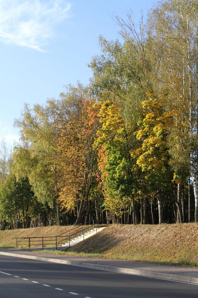Photograph by Наталья Алексеева