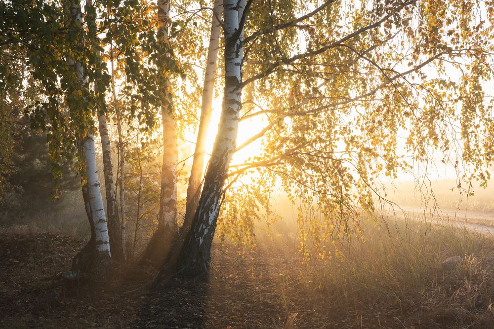 Photograph by Захаров Дмитрий