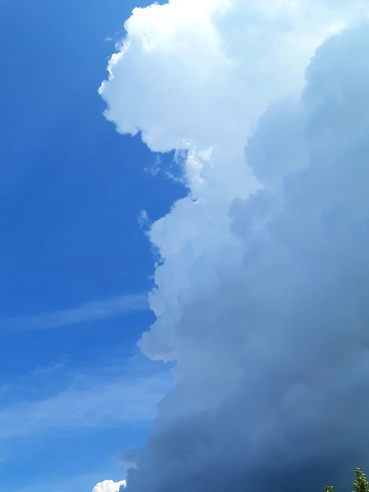 Фотография автора Наталья Шендяпина