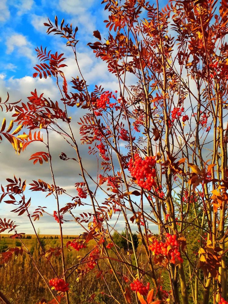 Photograph by Елена Дарьенко