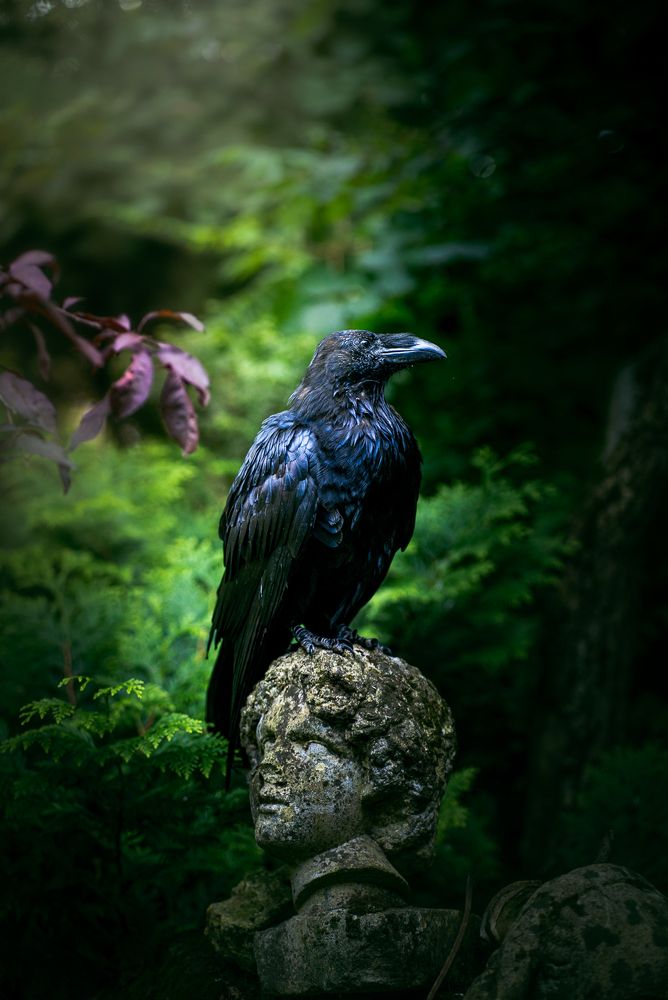 Photograph by Lodi Pertovt