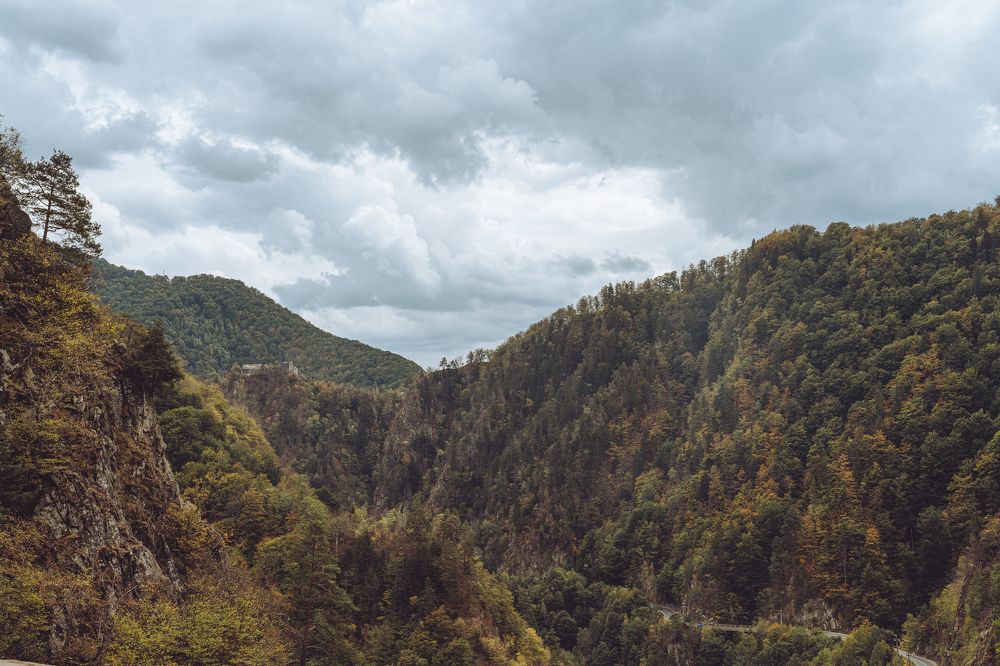 Photograph by Lodi Pertovt