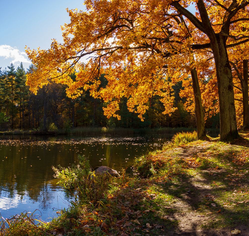 Photograph by Игорь Парсаданов