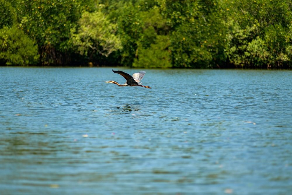Photograph by Владимир Скранжевский