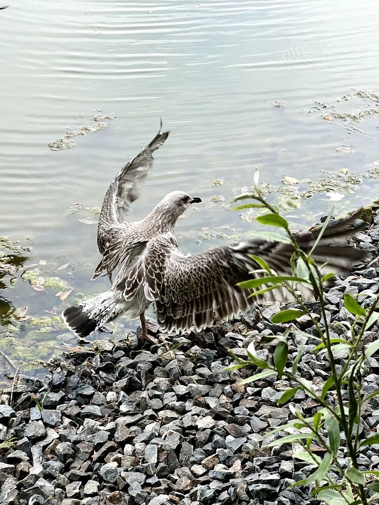 Photograph by Ирина Швейнова