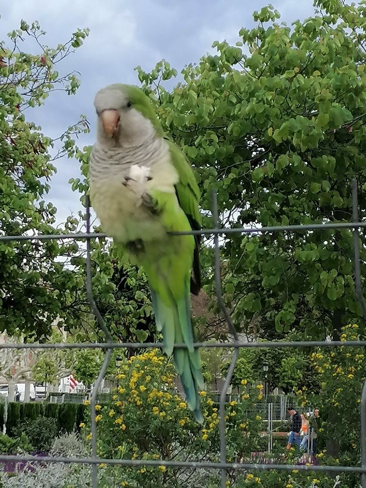 Фотография автора Danica Utjesinovic