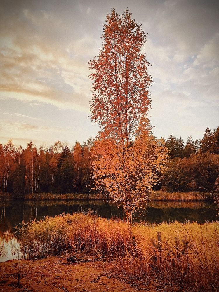 Photograph by Светлана Долганова