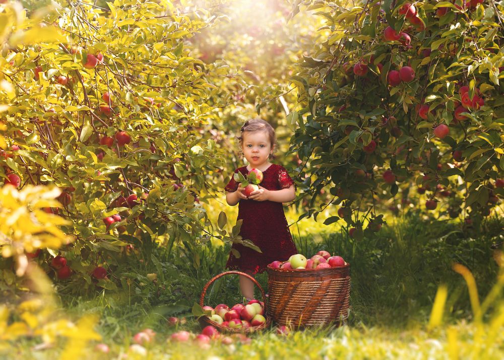 Photograph by Maria Potashova