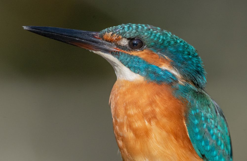 Фотография автора Татьяна Ливеровская