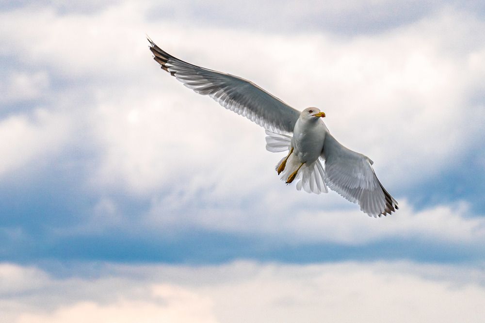 Photograph by Marija Kordić