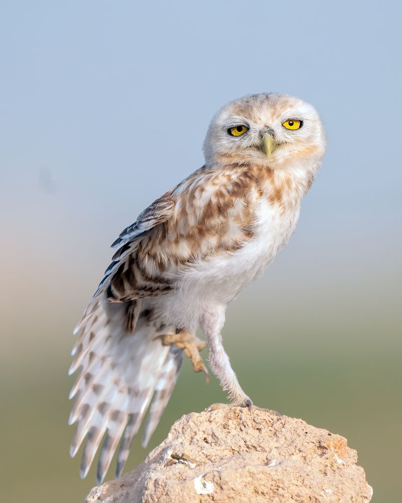 Photograph by miras mc