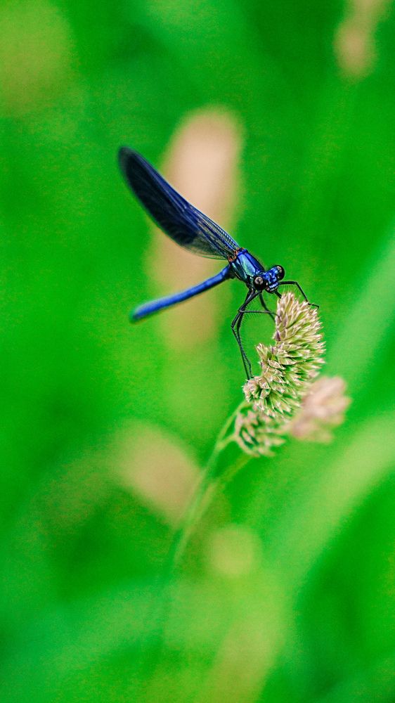 Photograph by Наталия Дмитриева