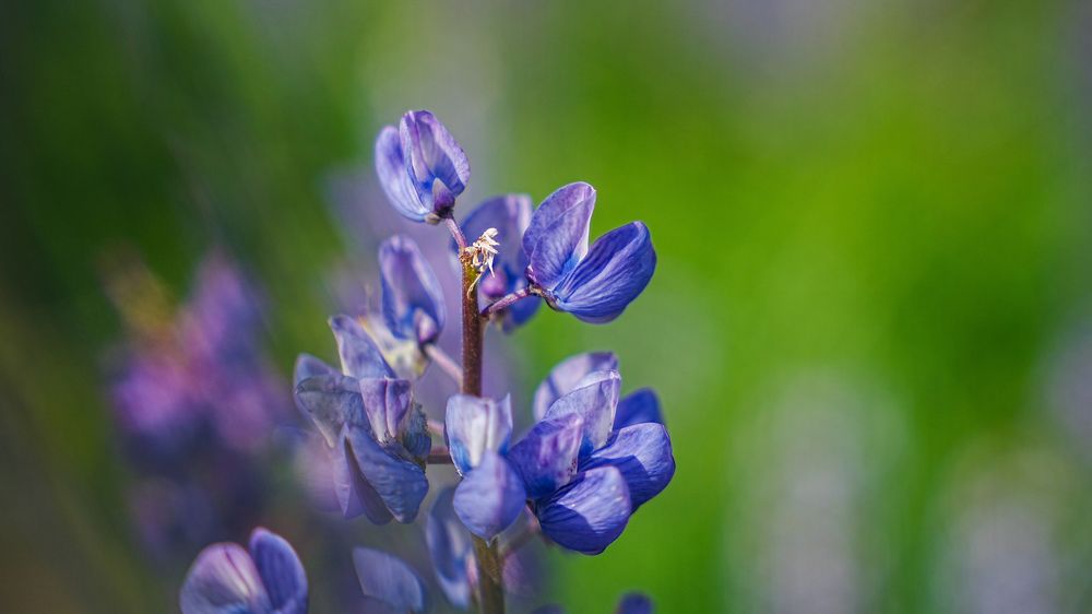 Photograph by Наталия Дмитриева