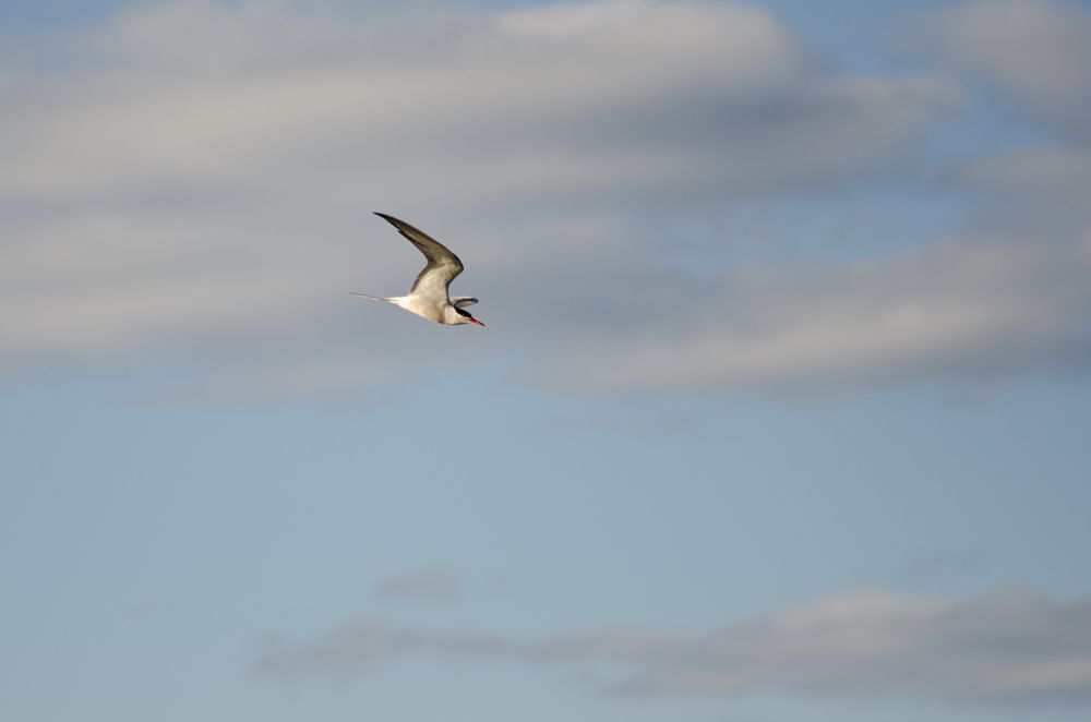 Photograph by Виталий Монахов