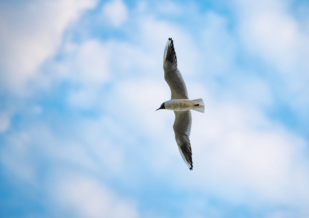 Photograph by Виталий Монахов