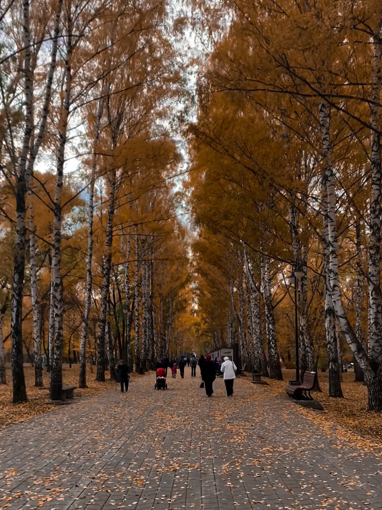 Фотография автора Юлия Осетрова