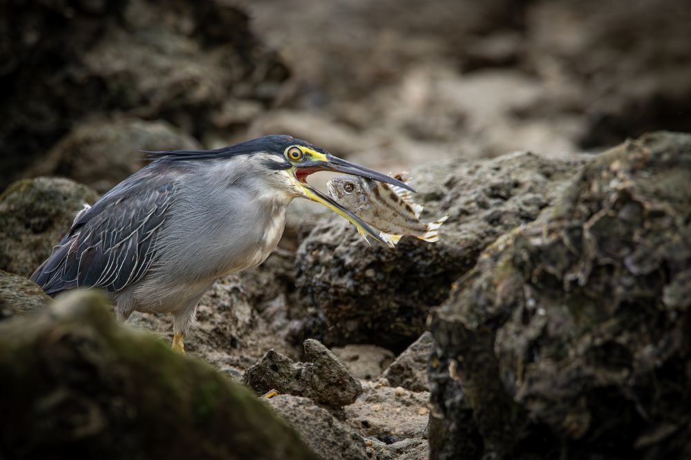 Photograph by Алексей