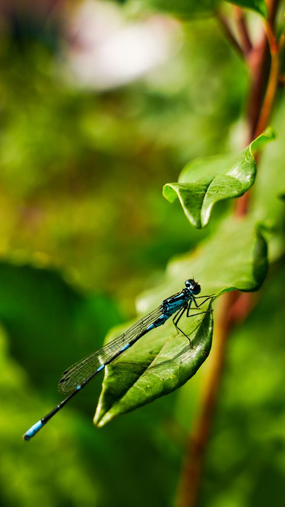 Photograph by Наталия Дмитриева