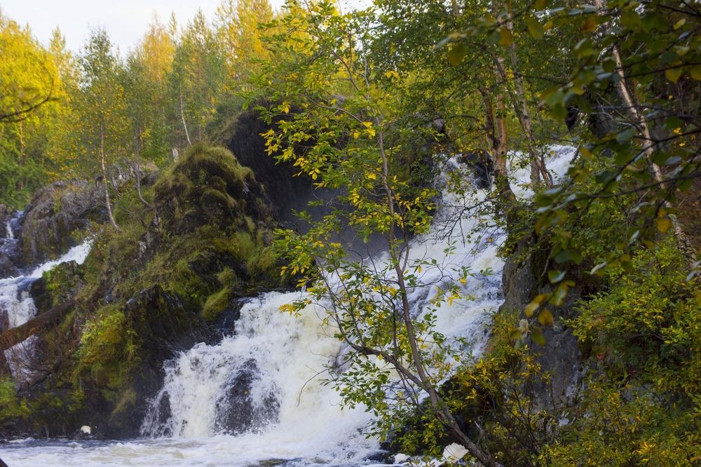 Photograph by Елена