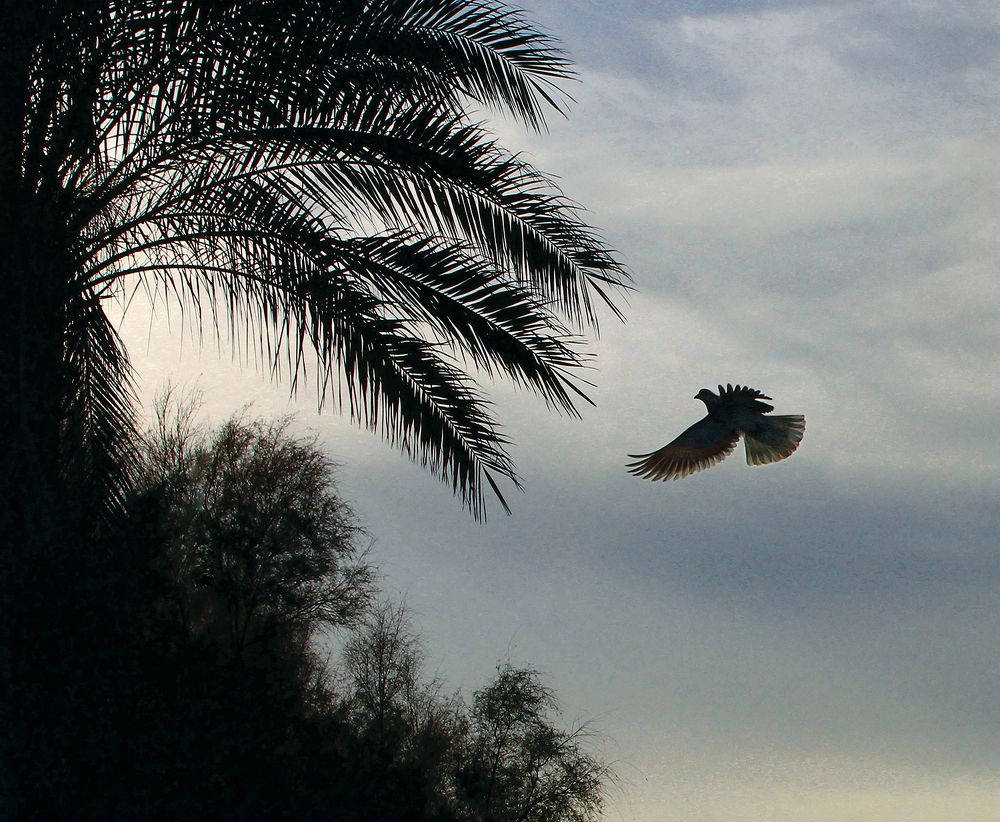 Photograph by TEVFIK ILERI